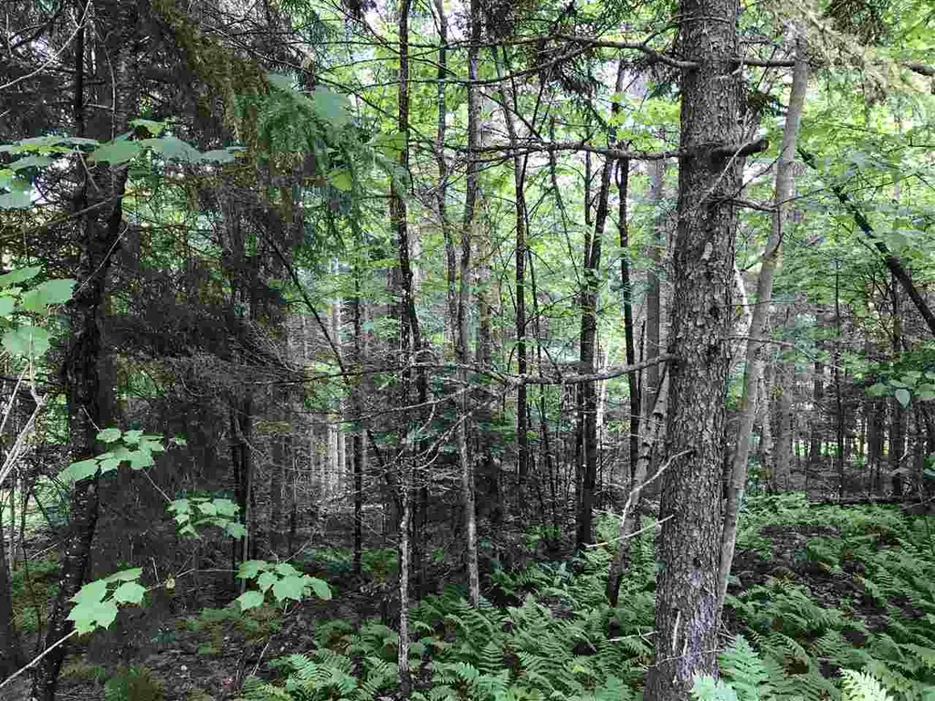 222 Brooks Park Road Stewartstown NH 03576