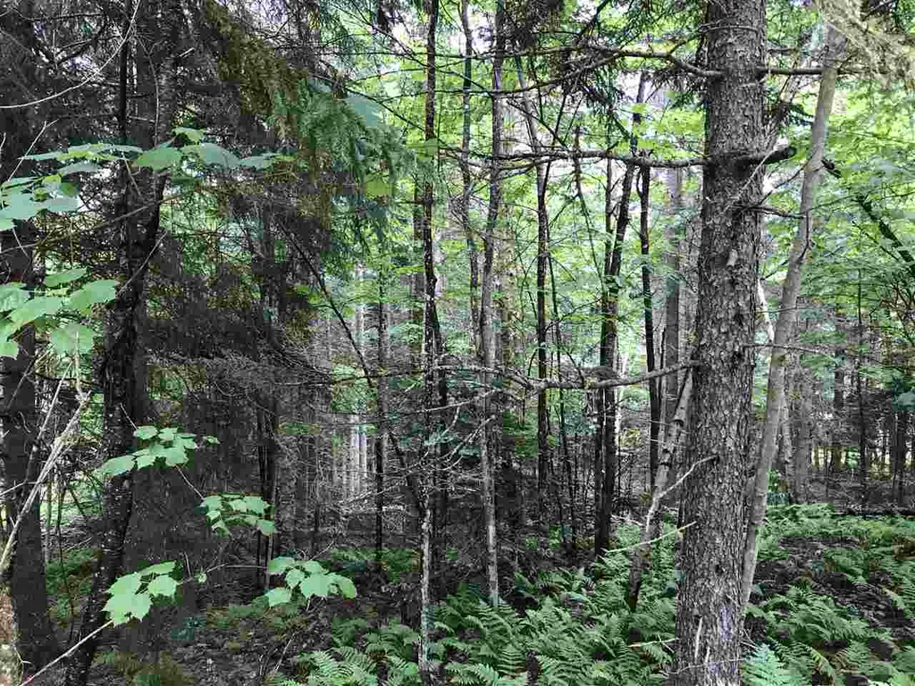 222 Brooks Park Road Stewartstown NH 03576