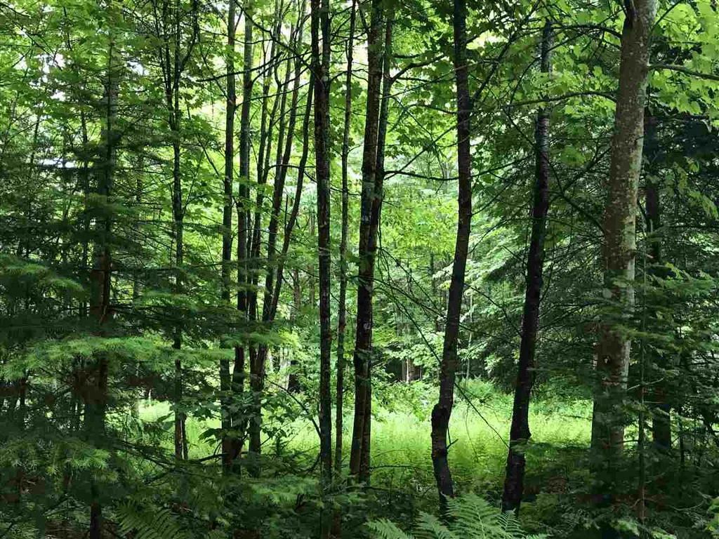 222 Brooks Park Road Stewartstown NH 03576