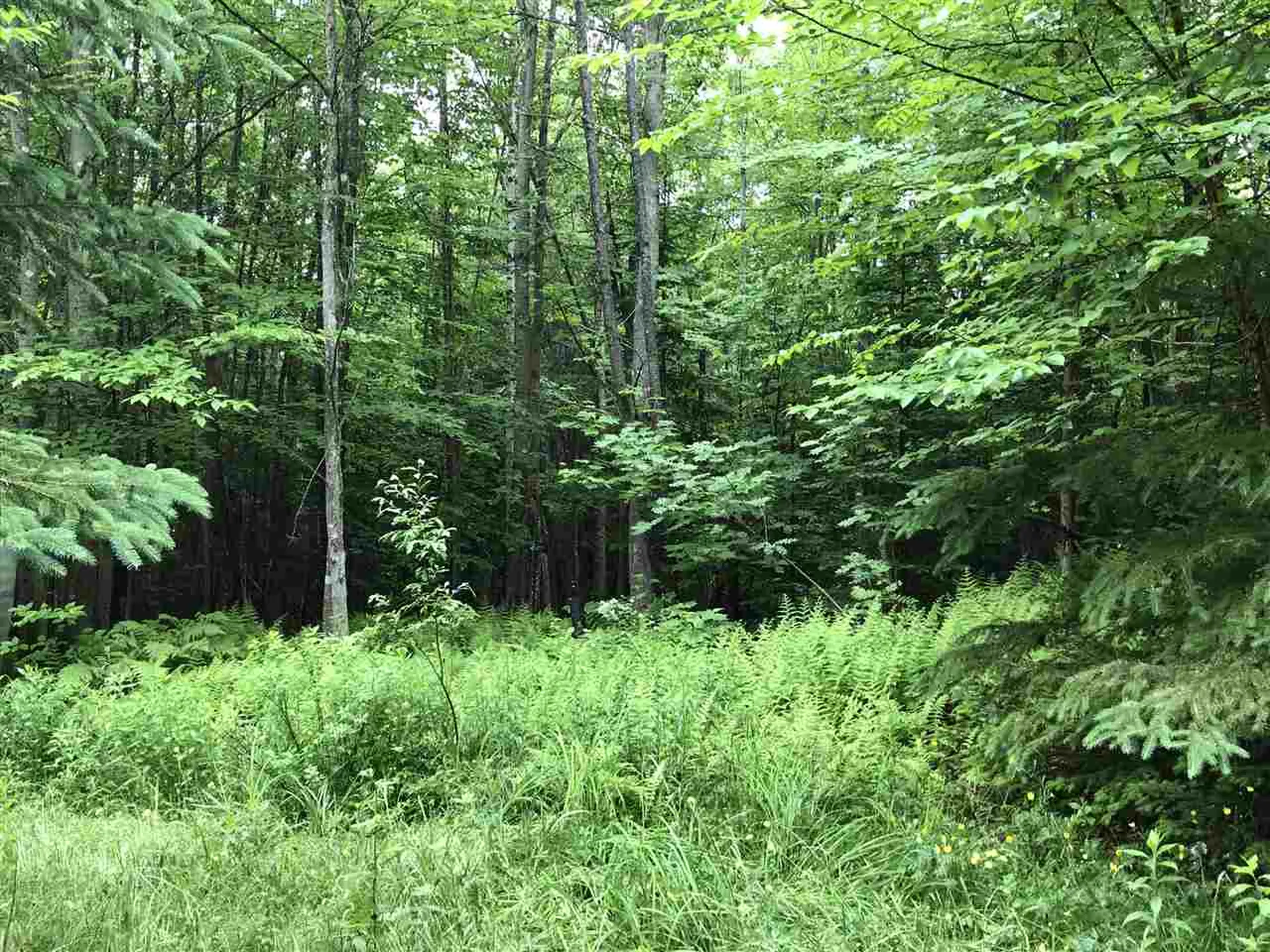 222 Brooks Park Road Stewartstown NH 03576