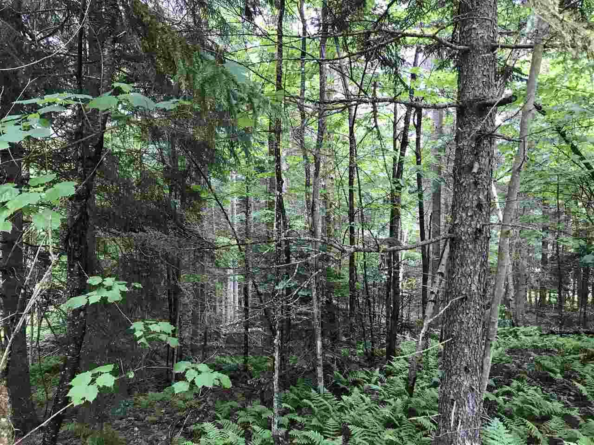222 Brooks Park Road Stewartstown NH 03576