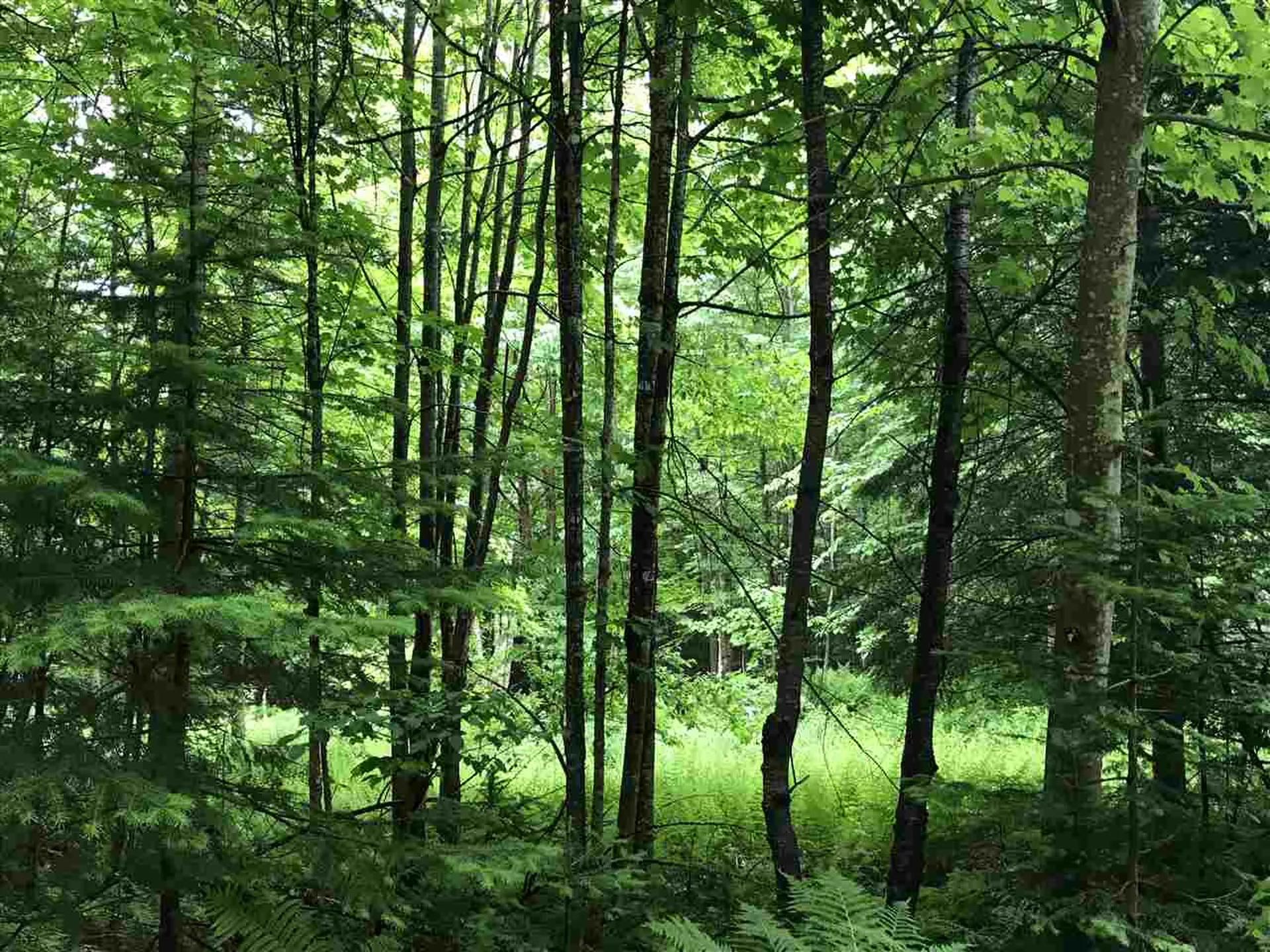 222 Brooks Park Road Stewartstown NH 03576