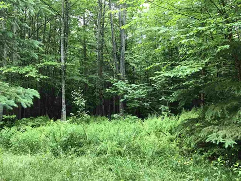 222 Brooks Park Road Stewartstown NH 03576