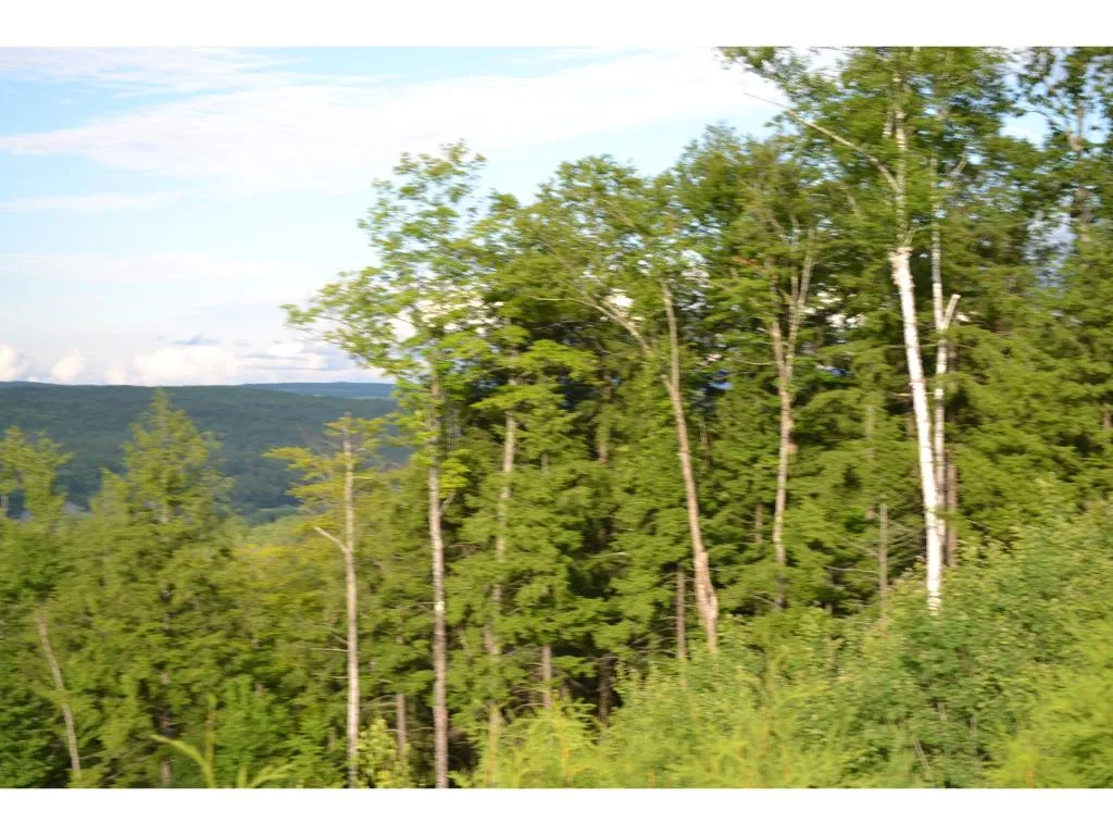 529 Brownsville Road Moretown VT 05676