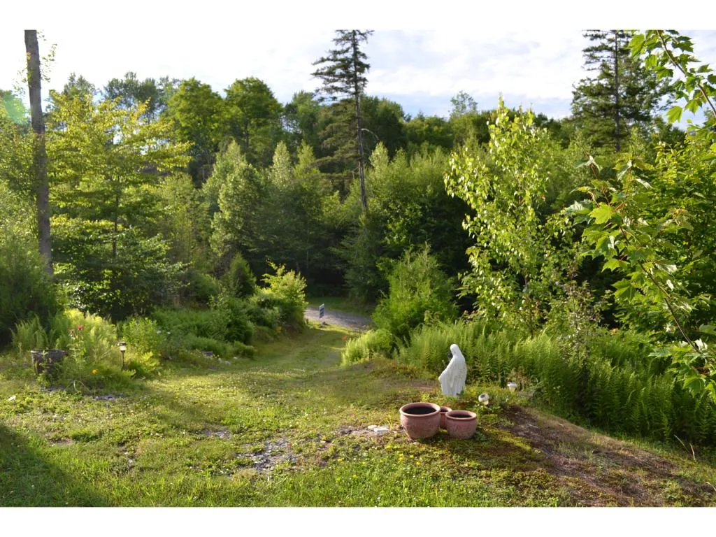 529 Brownsville Road Moretown VT 05676