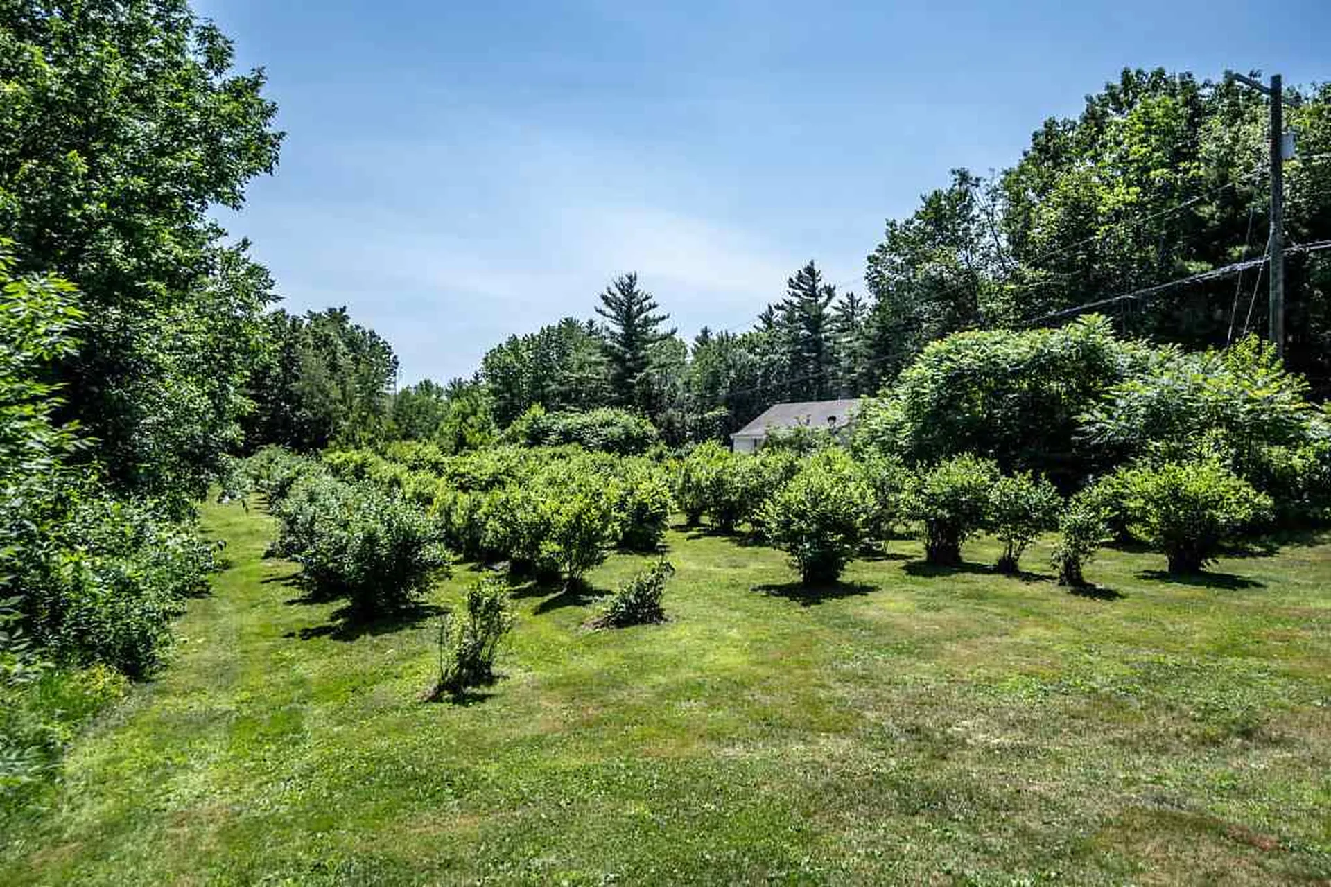 42 Buttermilk Lane Middleton NH 03887