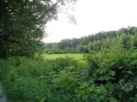 1912 Peavine Boulevard Bethel VT 05032
