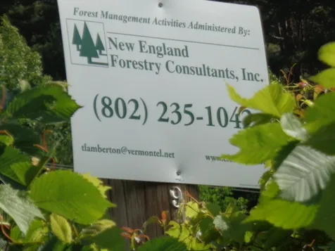 1912 Peavine Boulevard Bethel VT 05032