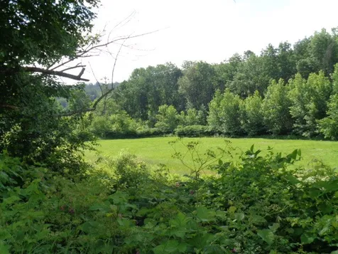 1912 Peavine Boulevard Bethel VT 05032
