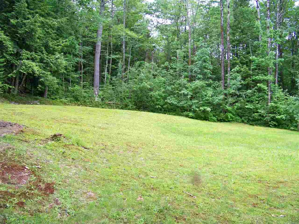 590 Wild Meadow Road Grafton NH 03240