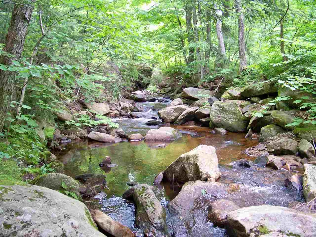 590 Wild Meadow Road Grafton NH 03240