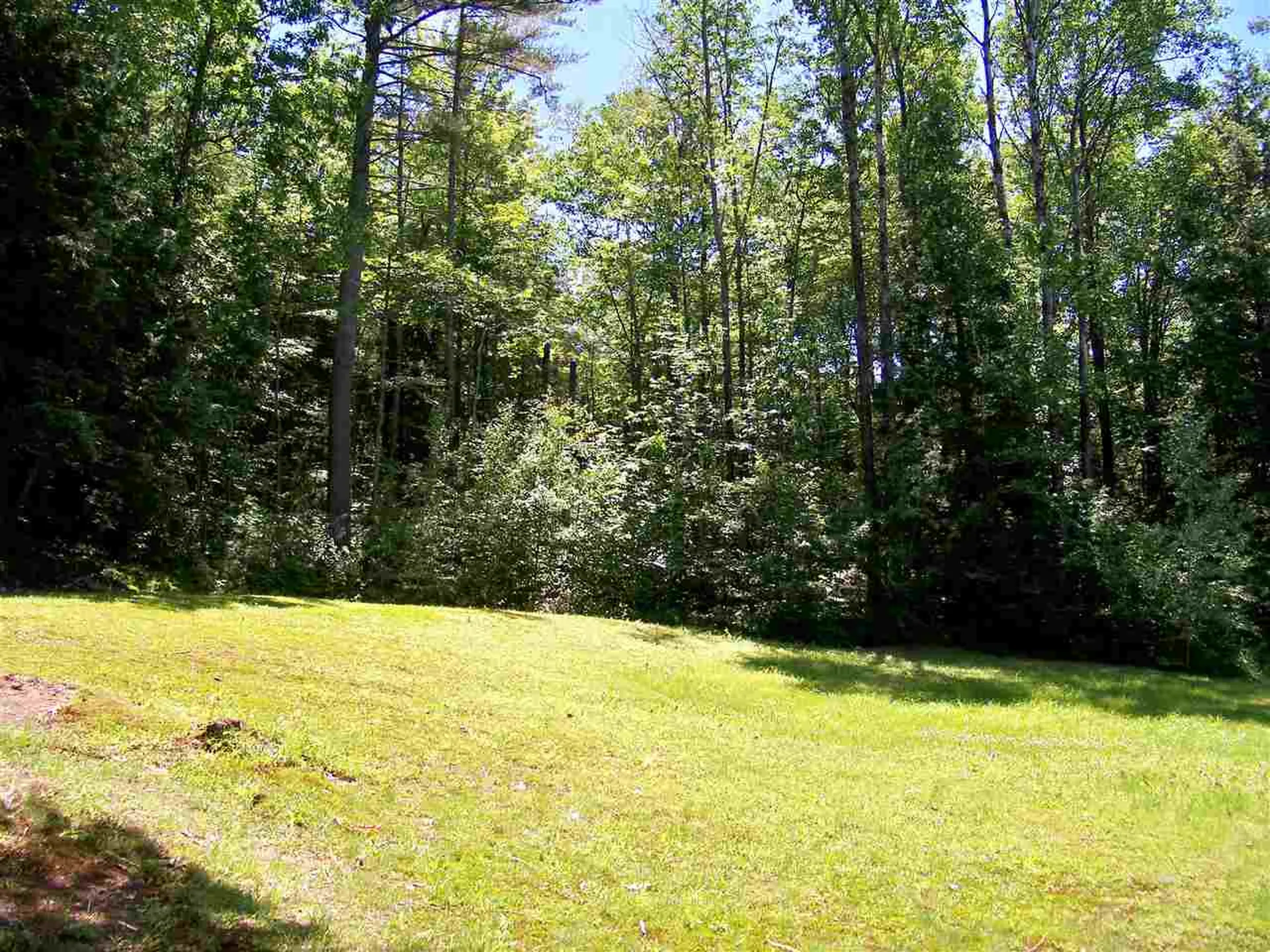 590 Wild Meadow Road Grafton NH 03240