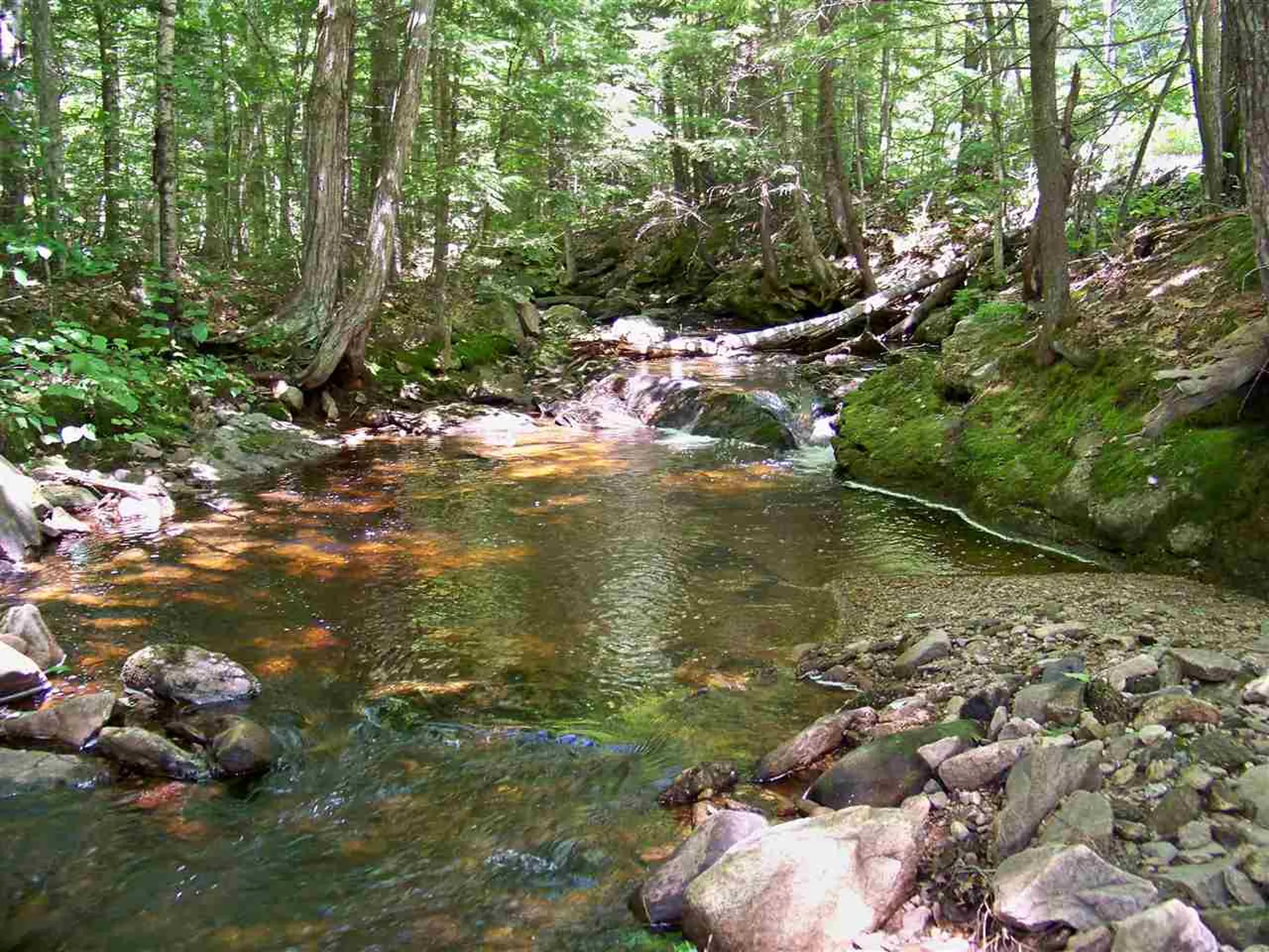 590 Wild Meadow Road Grafton NH 03240