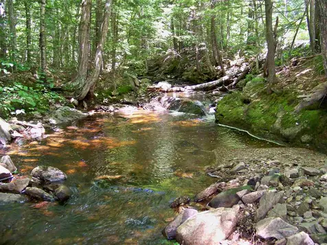 590 Wild Meadow Road Grafton NH 03240