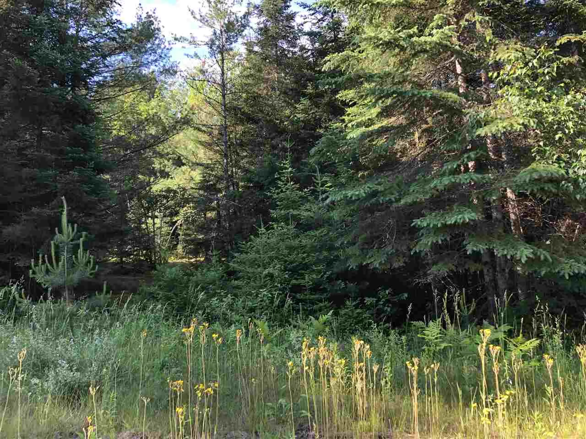 00 Sand Dollar Drive Lyndon VT 05851