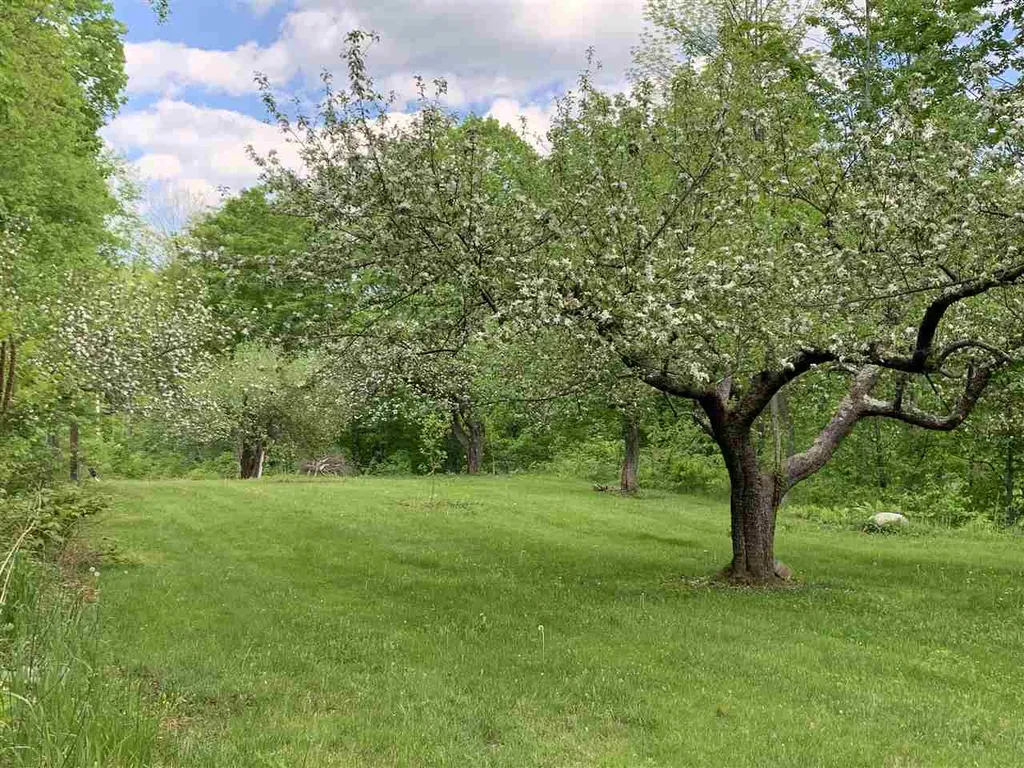 1502 Popple Dungeon Road Chester VT 05143