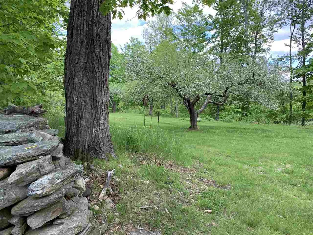 1502 Popple Dungeon Road Chester VT 05143