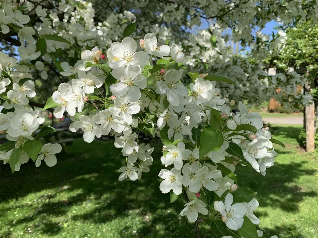 1502 Popple Dungeon Road Chester VT 05143