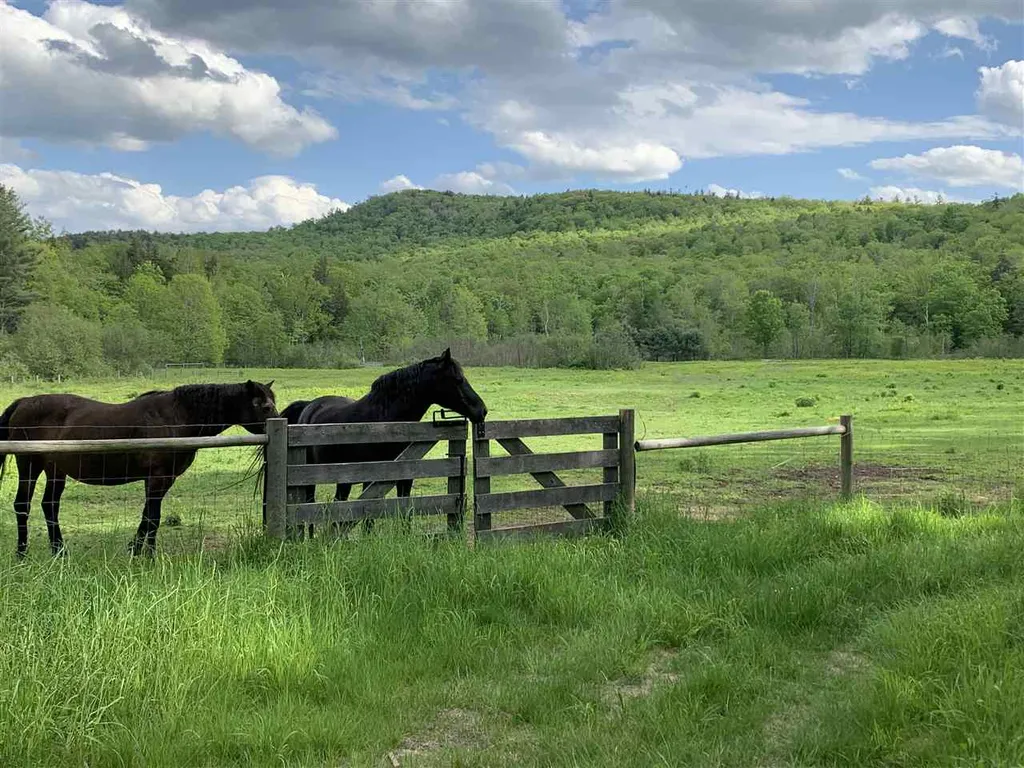 1502 Popple Dungeon Road Chester VT 05143