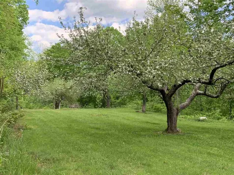1502 Popple Dungeon Road Chester VT 05143