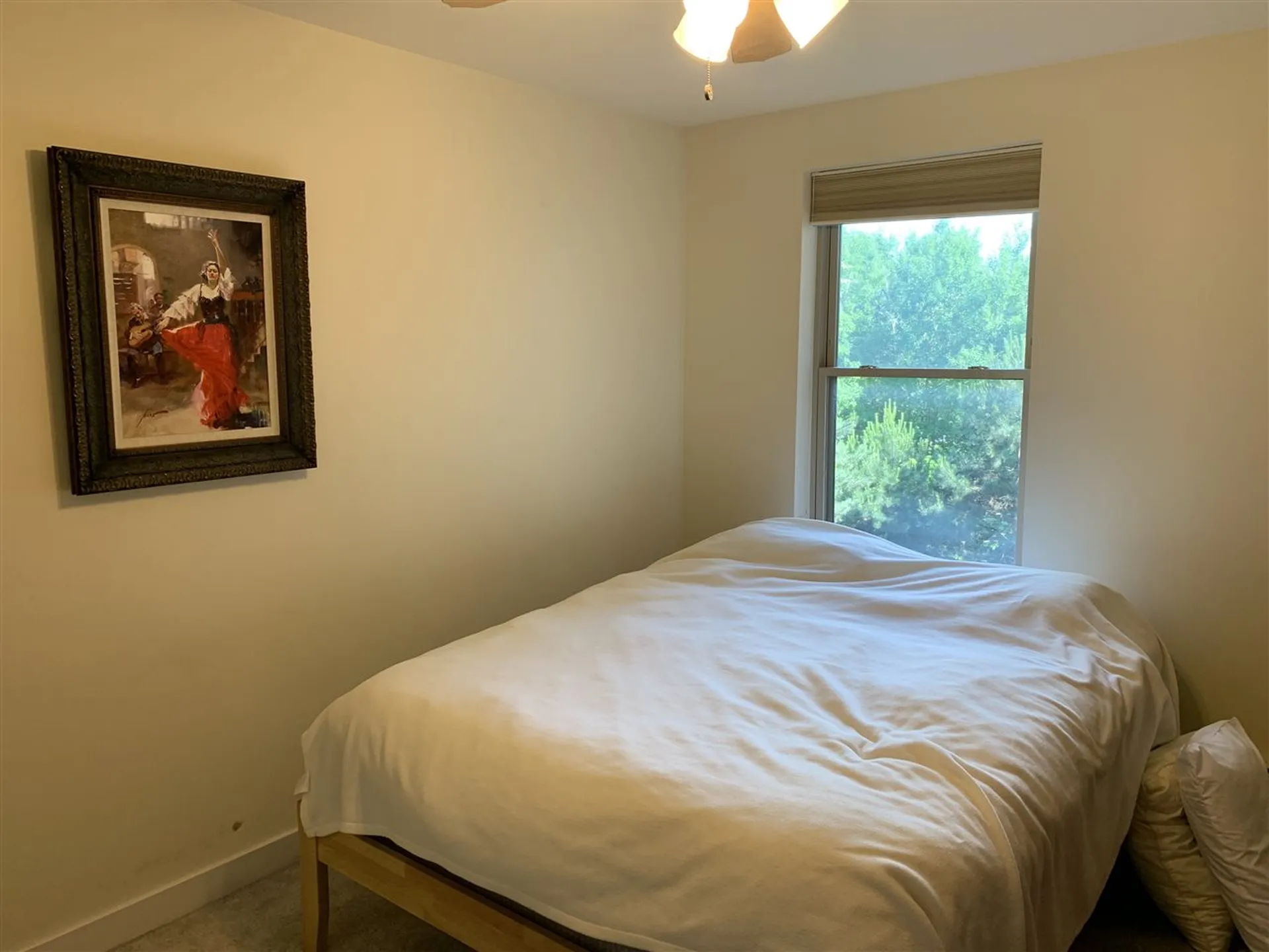 409 Farrell Street South Burlington VT 05403
