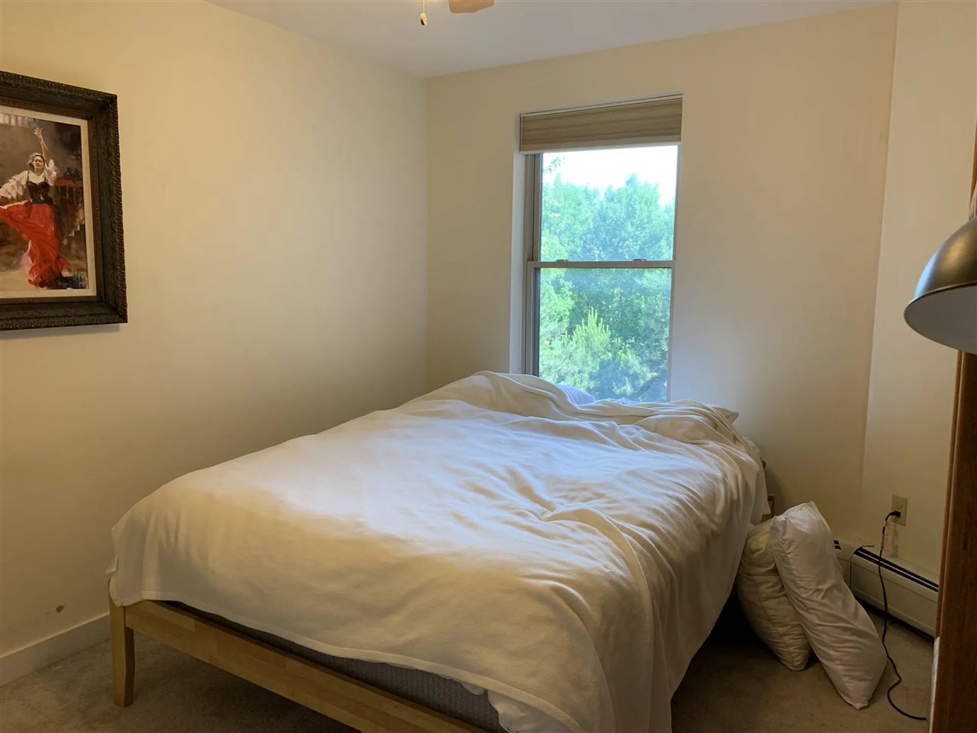 409 Farrell Street South Burlington VT 05403