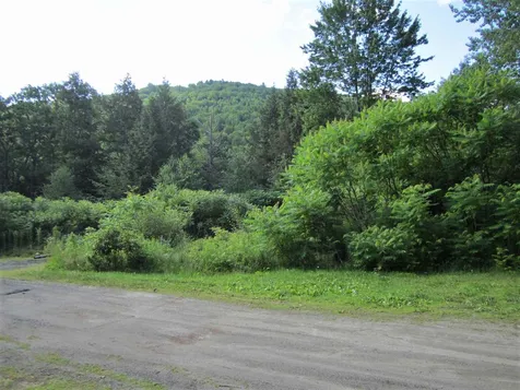 3 Rock River Terrace Newfane VT 05345