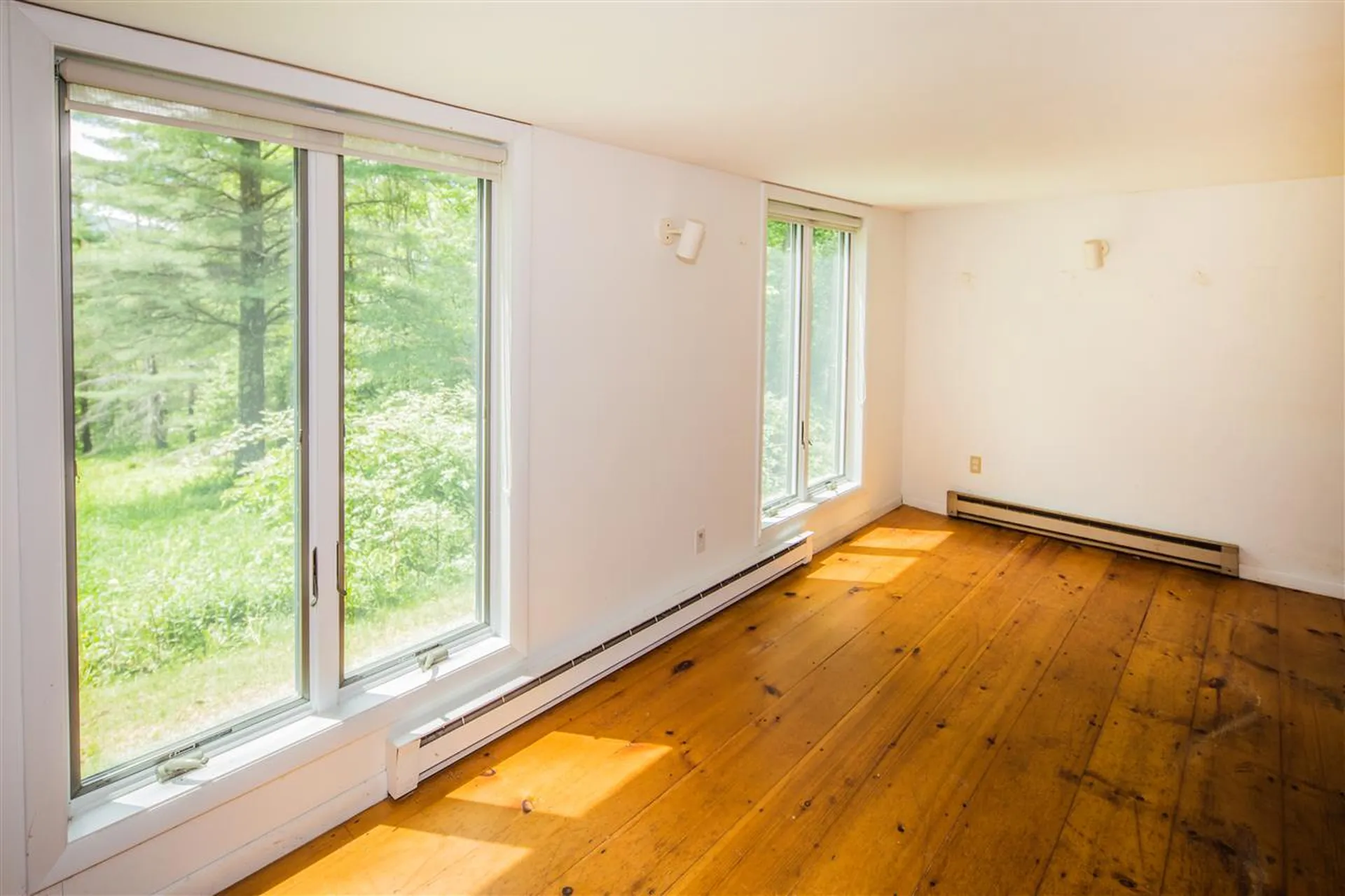 100 Great Hawk Road Rochester VT 05767