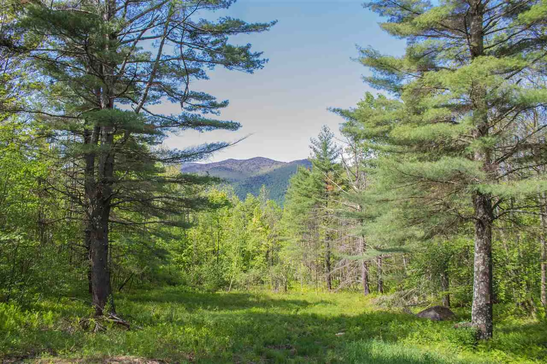 100 Great Hawk Road Rochester VT 05767