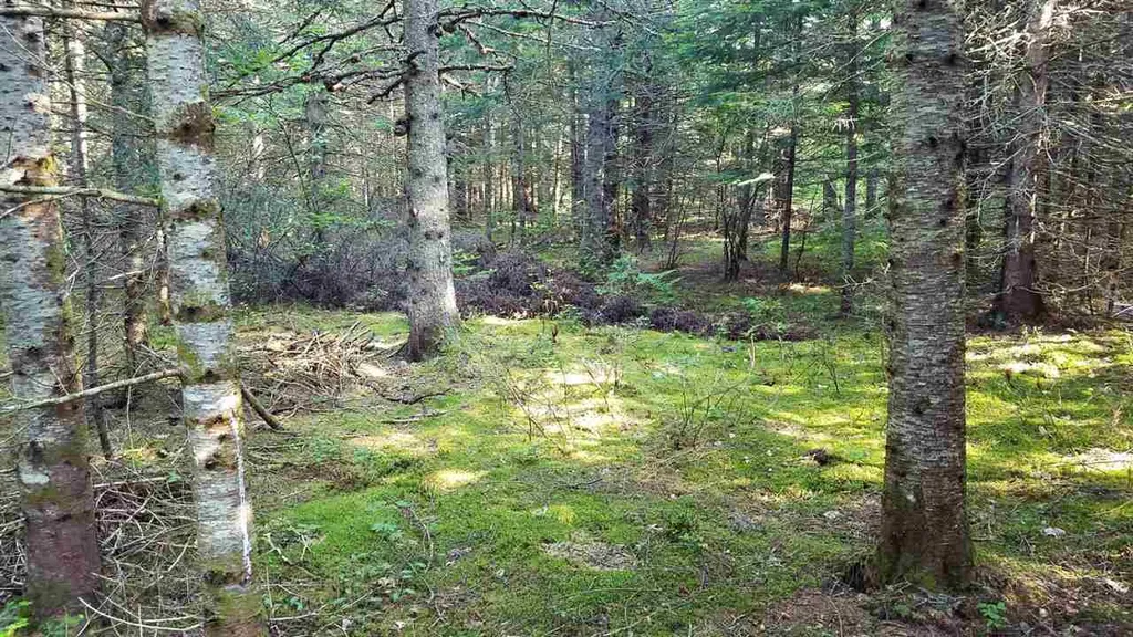 0 Bilodeau Road Brighton VT 05846