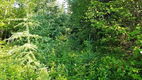 0 Bilodeau Road Brighton VT 05846