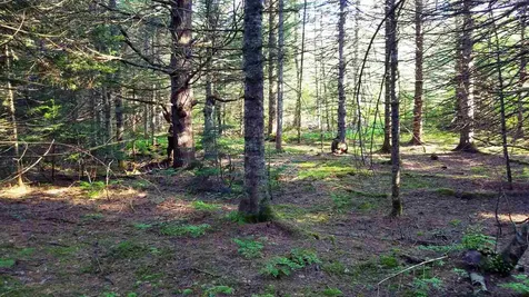 0 Bilodeau Road Brighton VT 05846
