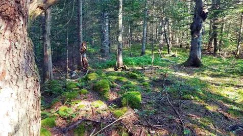 0 Bilodeau Road Brighton VT 05846