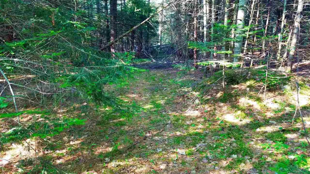 0 Bilodeau Road Brighton VT 05846