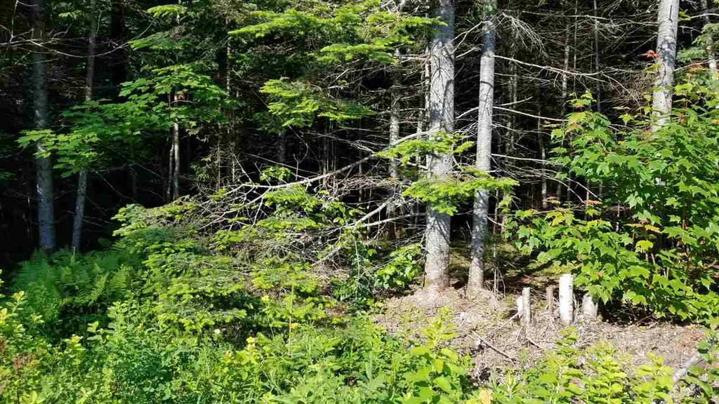 0 Bilodeau Road Brighton VT 05846