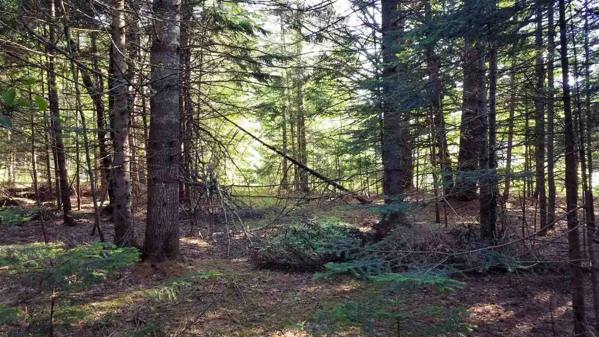 0 Bilodeau Road Brighton VT 05846