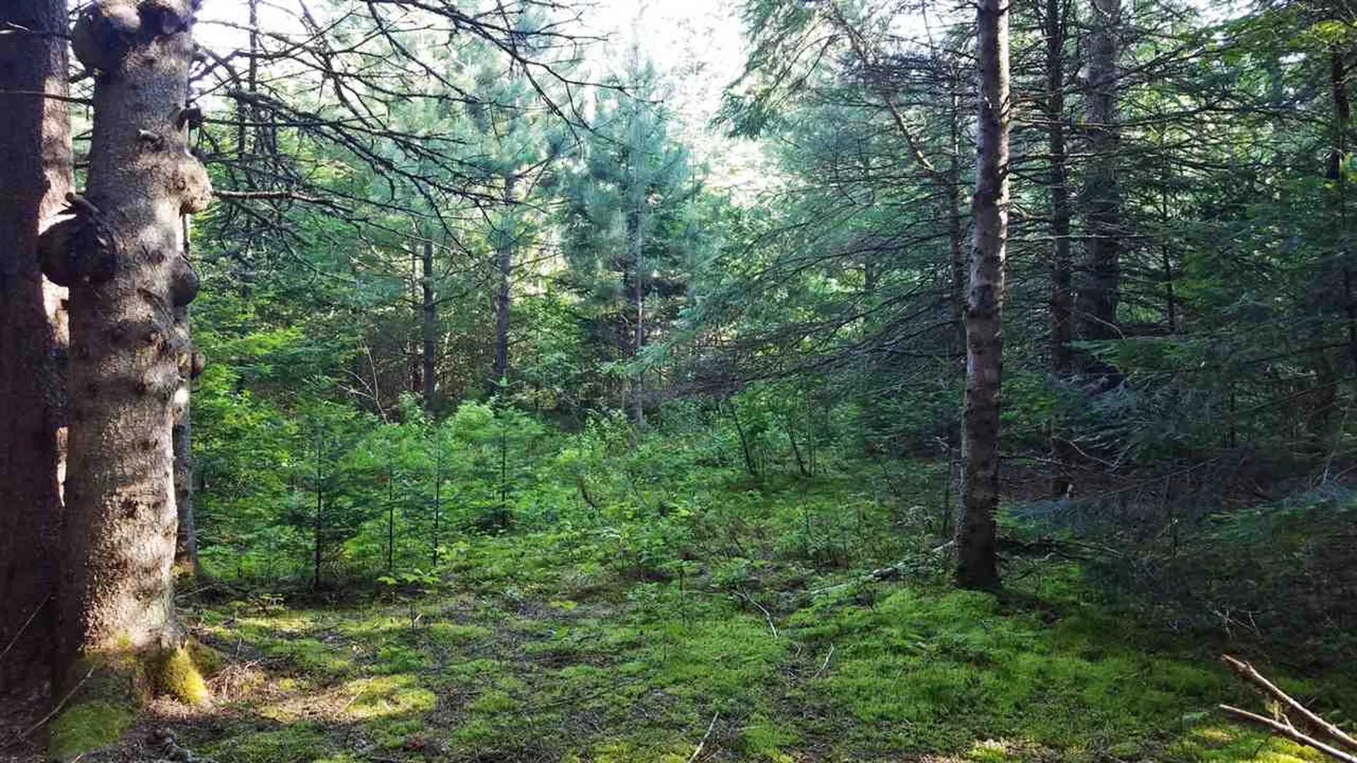 0 Bilodeau Road Brighton VT 05846