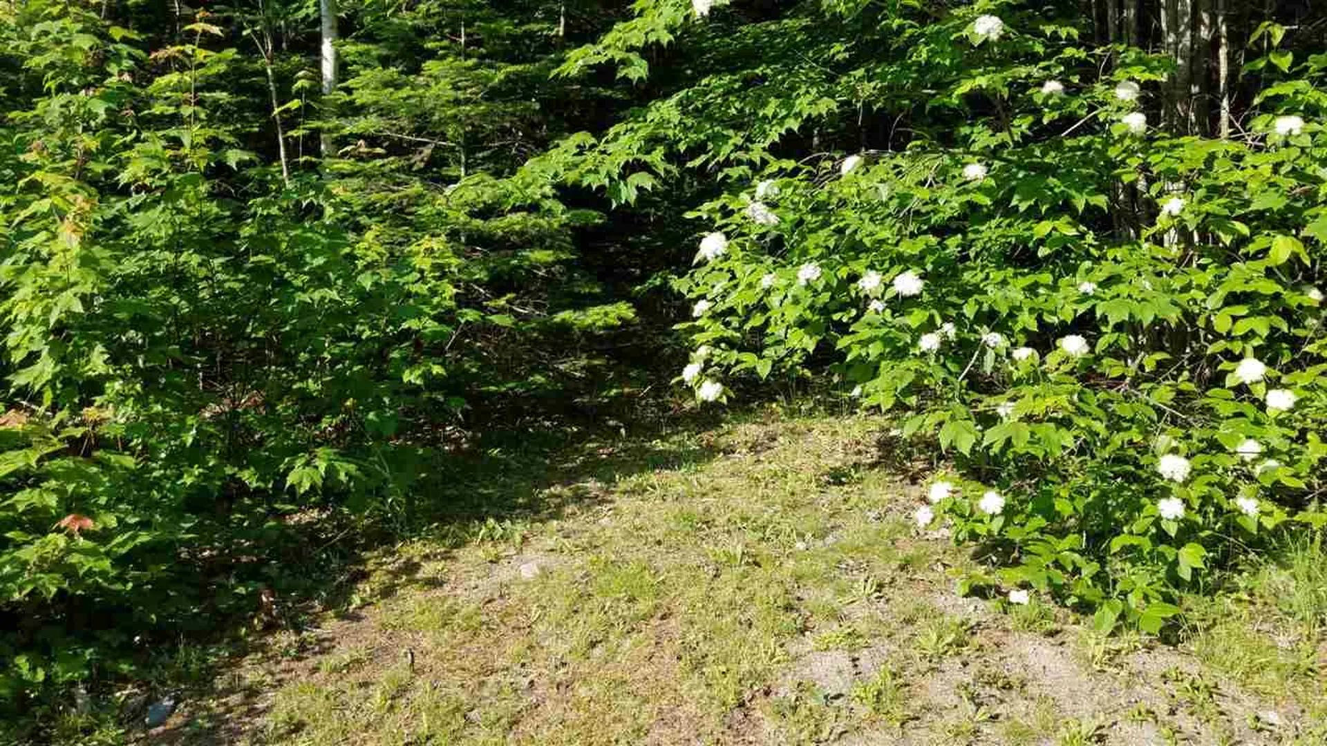 0 Bilodeau Road Brighton VT 05846