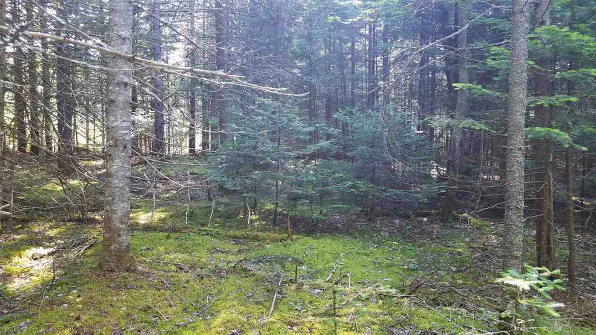 0 Bilodeau Road Brighton VT 05846