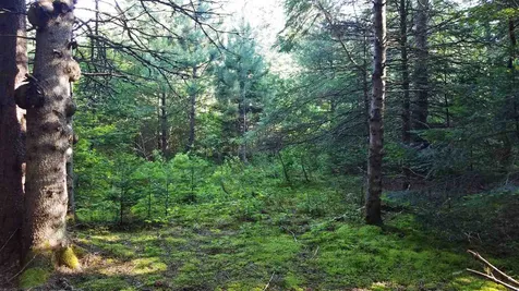 0 Bilodeau Road Brighton VT 05846