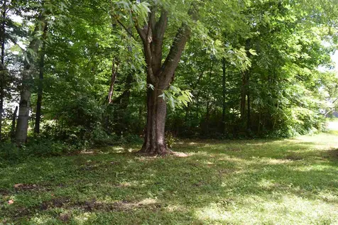 156 Prospect Street Hyde Park VT 05655