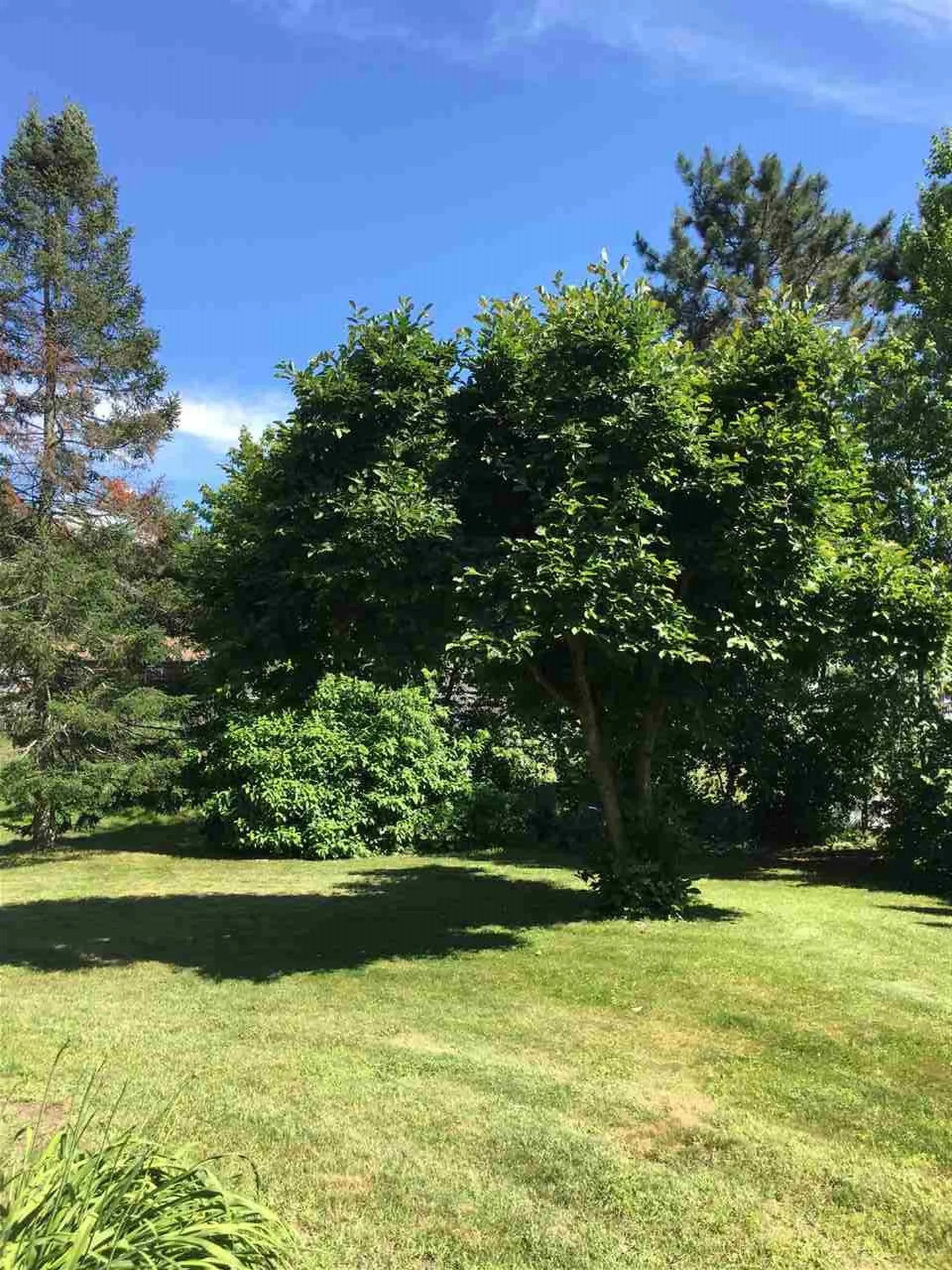 9 Colbert Street Essex VT 05452