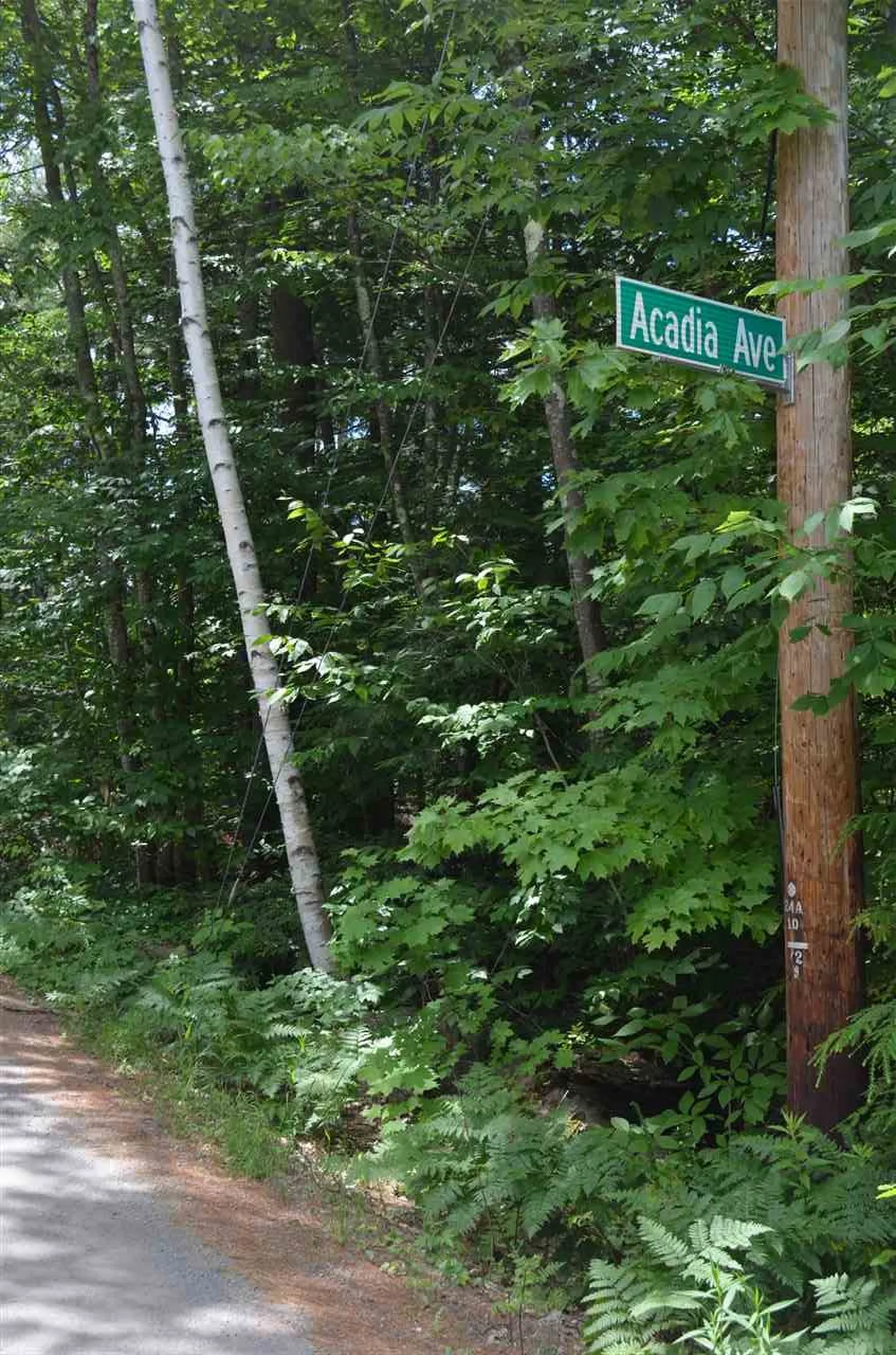 11 Acadia Avenue Antrim NH 03440