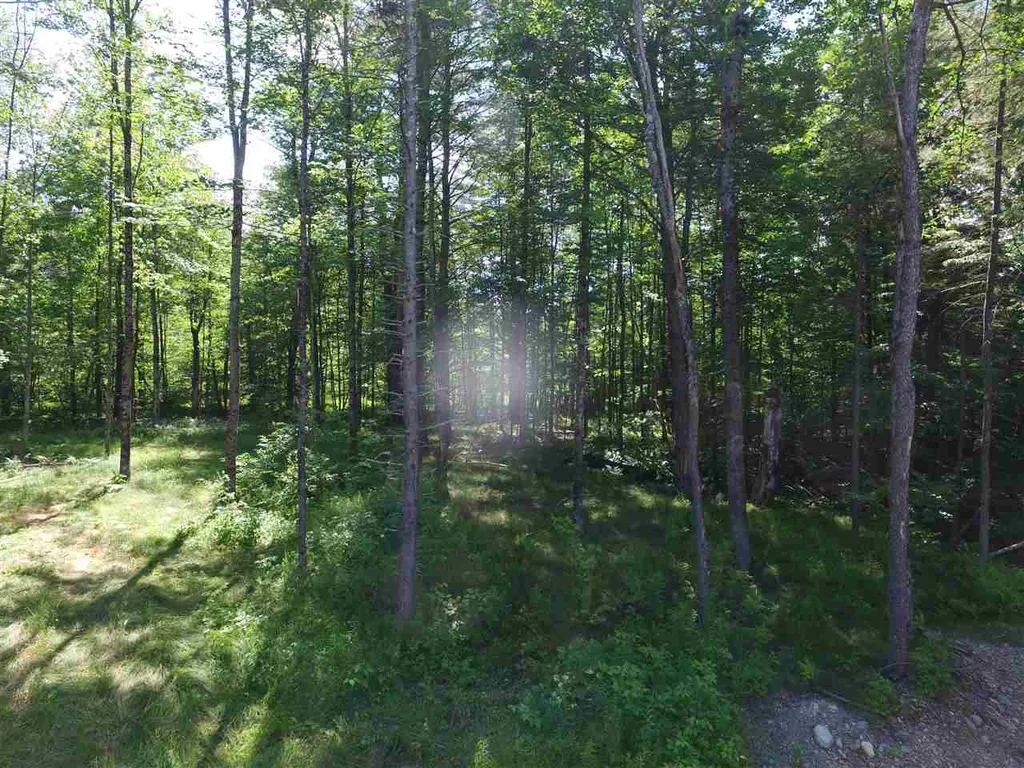 00 Tremblay Road Waitsfield VT 05673