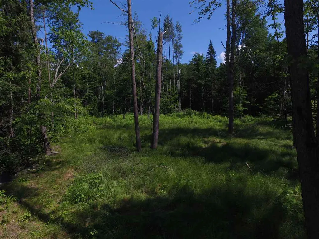 00 Tremblay Road Waitsfield VT 05673