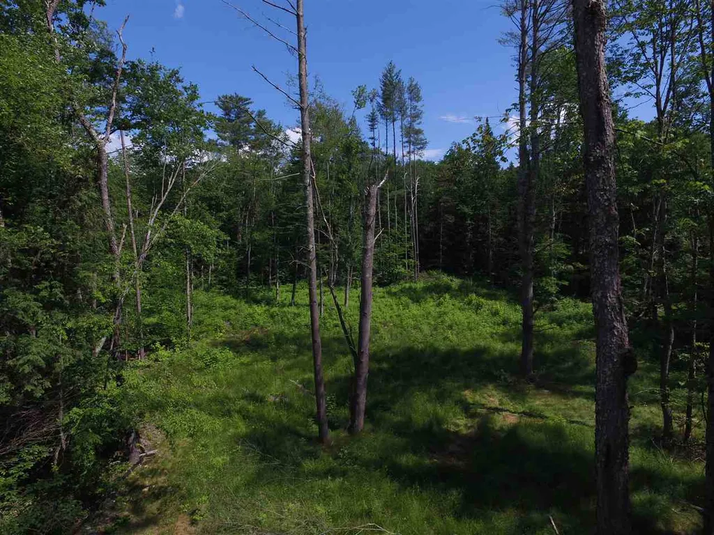 00 Tremblay Road Waitsfield VT 05673