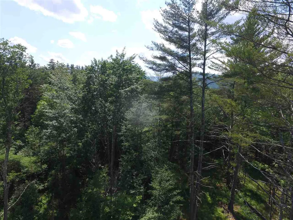 00 Tremblay Road Waitsfield VT 05673