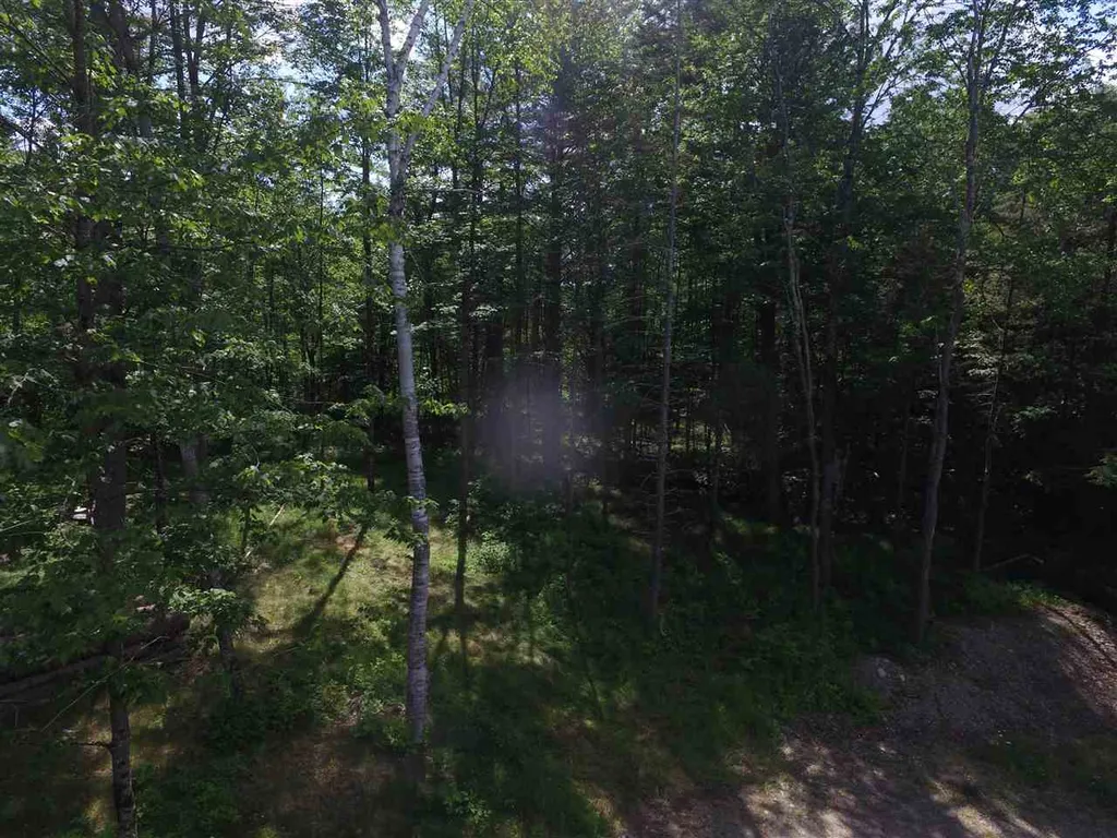 00 Tremblay Road Waitsfield VT 05673