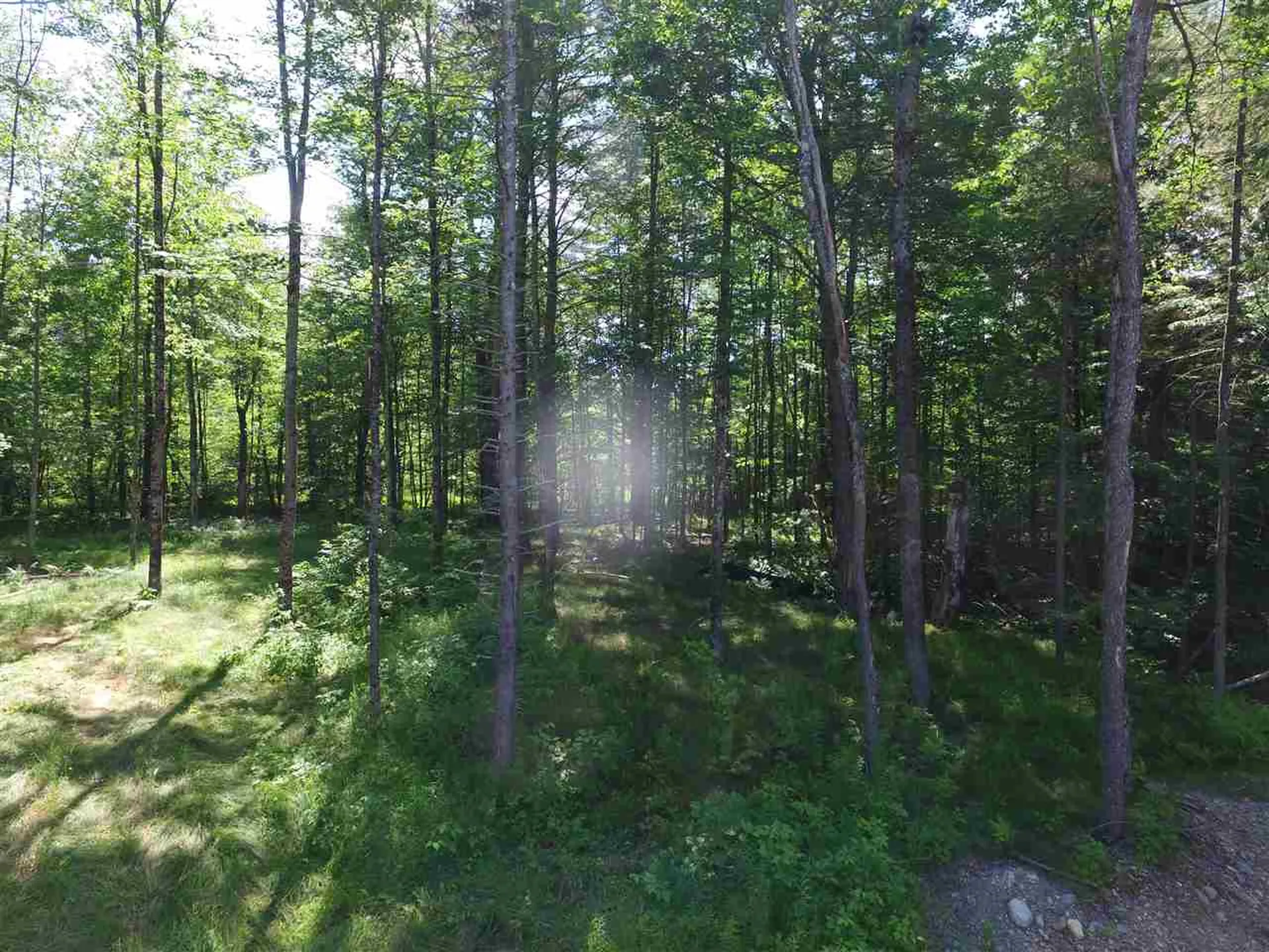 00 Tremblay Road Waitsfield VT 05673