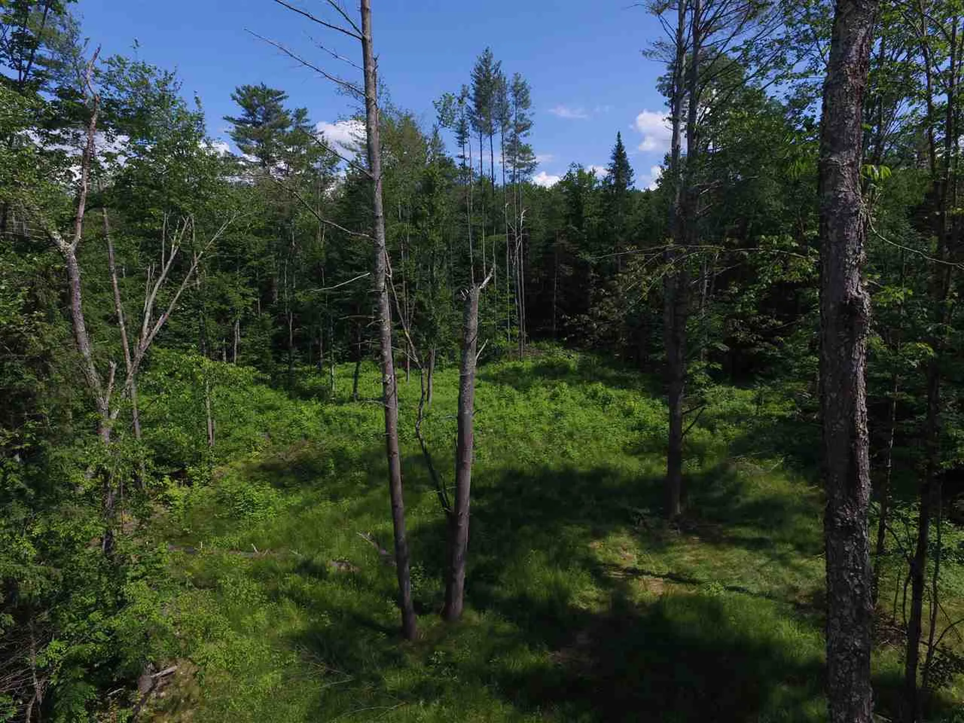 00 Tremblay Road Waitsfield VT 05673